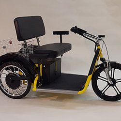 Palmer Industries - Palmer Twosome Lite Rear Wheel Drive