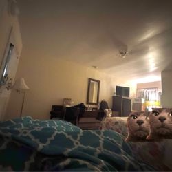 Deposit Motel - Inside room 7. *Cat stickers added to obscure my friends sleeping in the king bed.