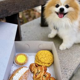 Egg Tarts
