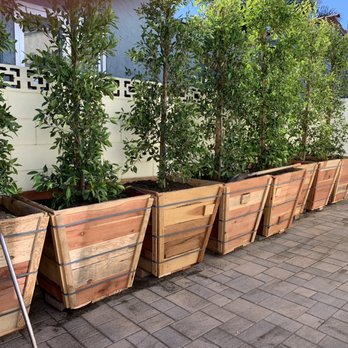 Amado Landscaping - Landscaping Near Me - Hawthorne, California