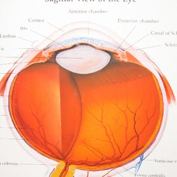 Hamilton Mill Eye Care - Optometrists Near Me - Buford, Georgia