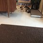 Photo of Animal Medical Care