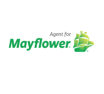Mayflower by null