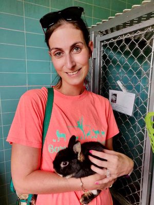 BISHOP ANIMAL SHELTER SPCA OF MANATEE COUNTY - Updated January 2025