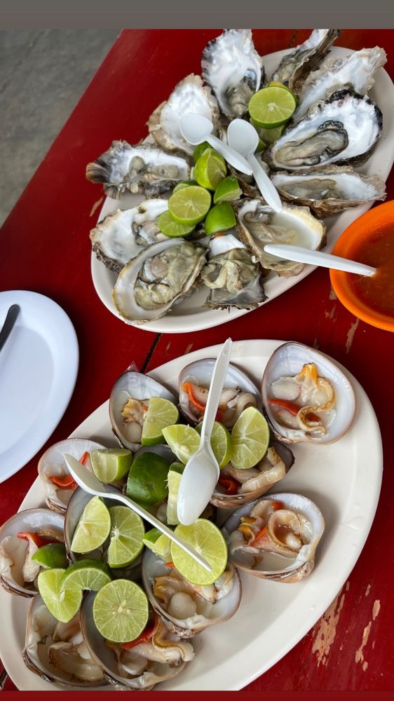 La Manga Doña Rosita