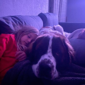 Bark Busters - Pet Training Near Me Bark Busters - Pet Training Near Me