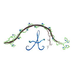 Aris Eye Care, PC