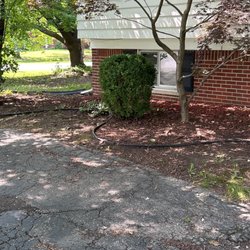 Shawns Botany and Lanscaping