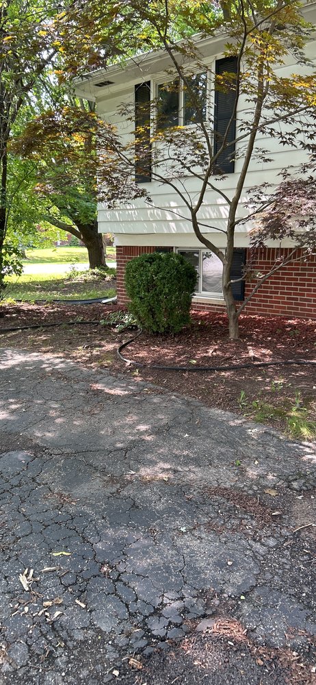 Slide of Shawn's Botany and Lanscaping