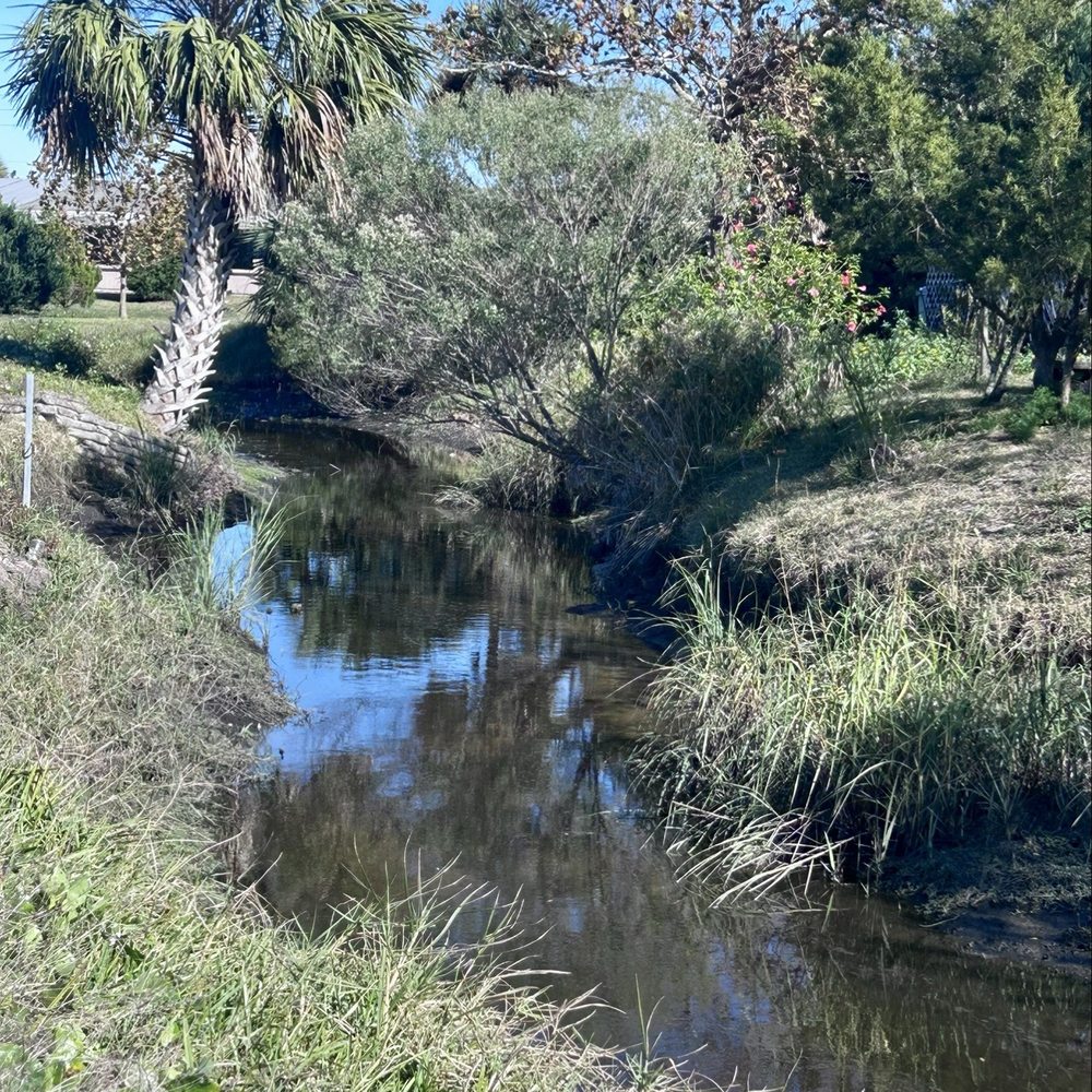 Jarboe Park - Stream - Parks Near Me - Neptune Beach, Florida Jarboe Park - Stream - Parks Near Me - Neptune Beach, Florida