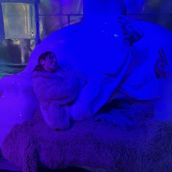 ICEBAR Orlando - Dance Clubs Near Me - Orlando, Florida ICEBAR Orlando - Dance Clubs Near Me - Orlando, Florida
