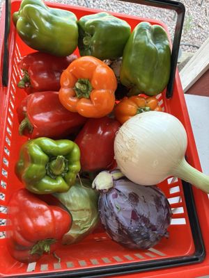 Well Rooted Farms by null