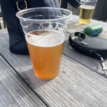 The Bark Park & Patio - Dog Parks Near Me - Florence, Kentucky