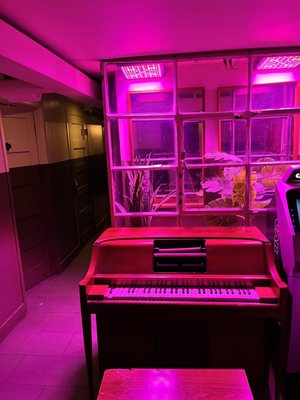 Death & Taxes Free House by null