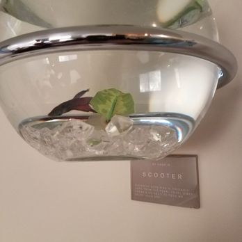 The Pearl Hotel - San Diego, CA