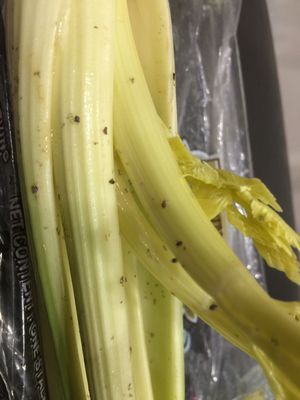 Northgate González Market by null