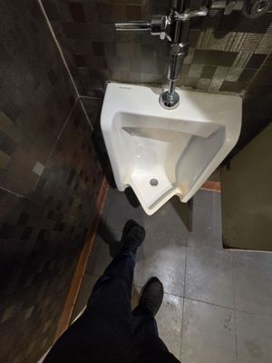 Noodles Fresh | El Cerrito CA Chinese Cuisine by null