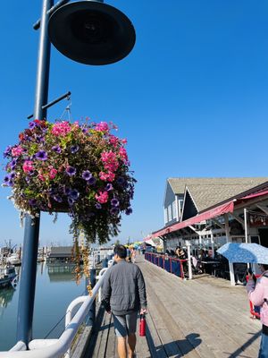 Steveston by null
