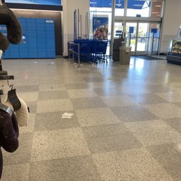 Just look at all the trash on the floor. So gross. Just look at all the trash on the floor. So gross.