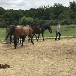 Chrislin Farm - Follow the leader!