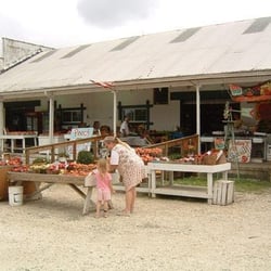 Sunny Slope Farms - peach season!