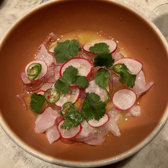 True Laurel - CA halibut ceviche - Cocktail Bars Near Me - San Francisco, California True Laurel - CA halibut ceviche - Cocktail Bars Near Me - San Francisco, California