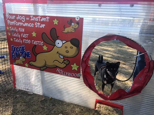 Roger Sherman Baldwin Park by null