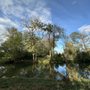 University parks
