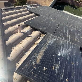 Clean Energy Partners - Dirty solar panels with pigeon problems. - Solar Panel Cleaning Near Me
