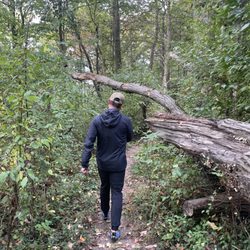 Bender Mountain Preserve