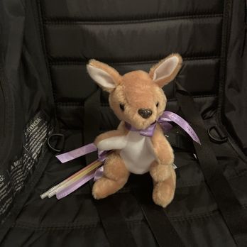 Four Seasons Hotel Sydney - Kid kangaroo - Hotels Near Me - Sydney, NSW Four Seasons Hotel Sydney - Kid kangaroo - Hotels Near Me - Sydney, NSW