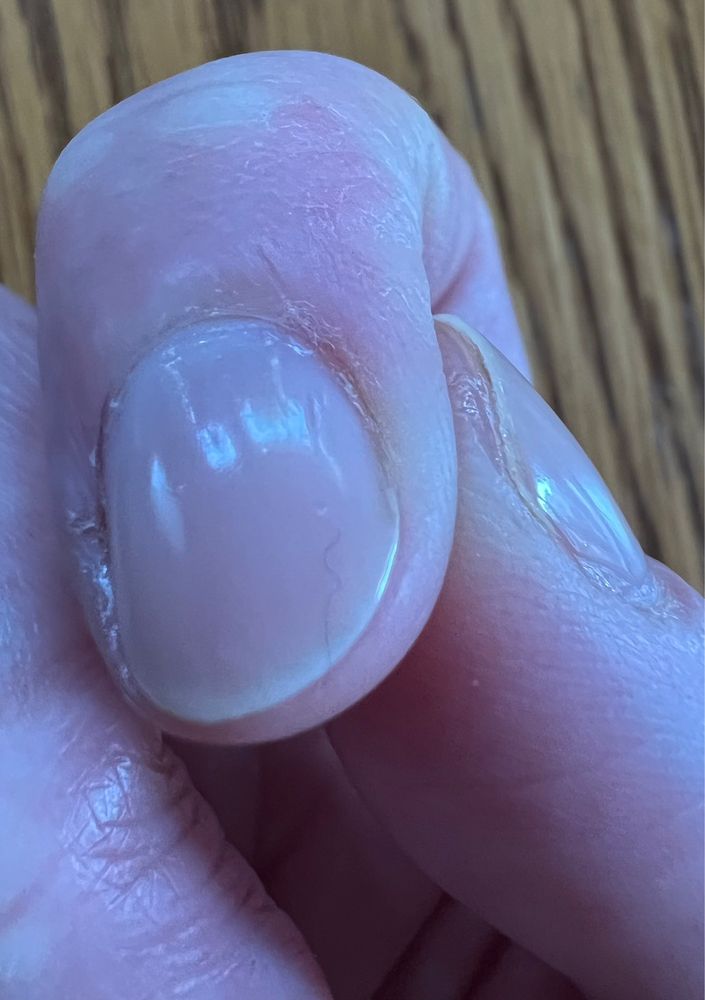 AMERICAN NAILS AND SPA Updated September 2024 71 Photos & 98 Reviews 1320 Bardstown Rd