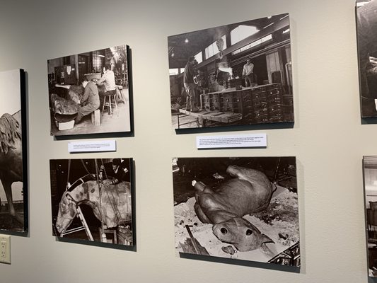 The Mustangs of Las Colinas Sculpture and Museum and Visitors Center by null