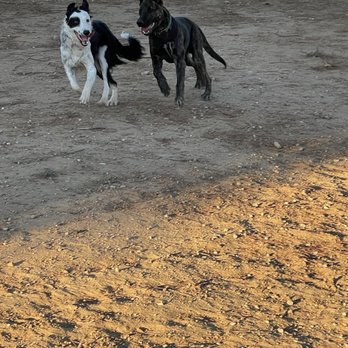 Badlands Boarding - Pet Boarding Near Me - Redlands, California Badlands Boarding - Pet Boarding Near Me - Redlands, California