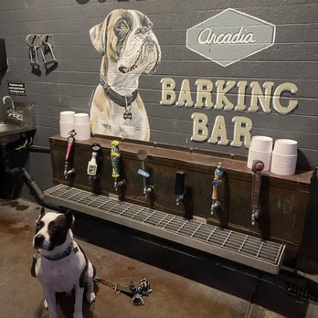 OHSO Brewery- Arcadia - Doggy Water Station - Breweries Near Me - Phoenix, Arizona