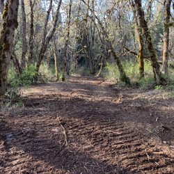 Crover's Dirt Works - First mulching Road