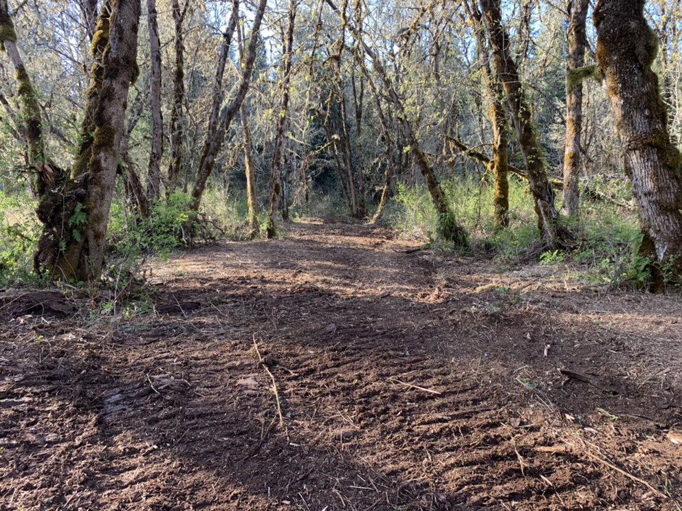 Crover's Dirt Works - septic in Veneta, OR