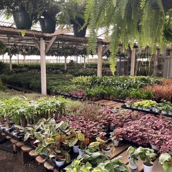 Foothill Nursery - Nurseries & Gardening Near Me - Sylmar, California