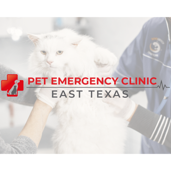 East Texas Pet Emergency Clinic - Veterinarians Near Me - Longview, Texas East Texas Pet Emergency Clinic - Veterinarians Near Me - Longview, Texas