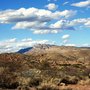 Photo of The Nature Conservancy