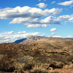 The Nature Conservancy