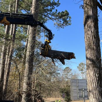 Stumps Unlimited - Tree Services Near Me - Tylertown, Mississippi Stumps Unlimited - Tree Services Near Me - Tylertown, Mississippi