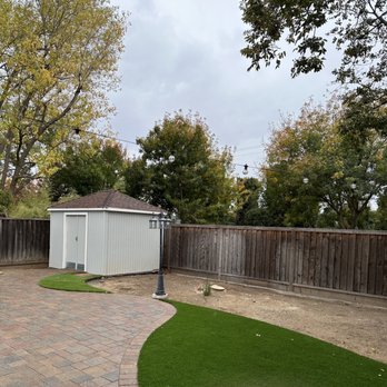 Califa Tree Care - After - Tree Services Near Me