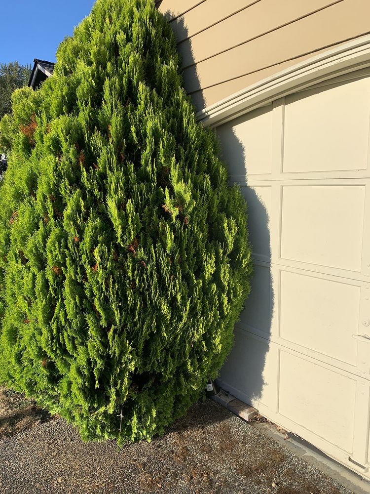 Slide of Good Plumber