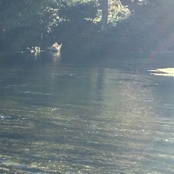 fairfield bait and tackle