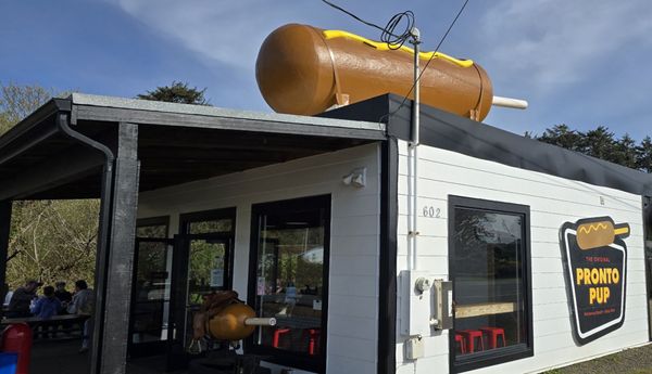 Pronto Pup Co., Inc. by null