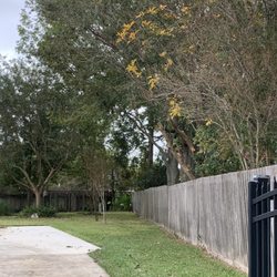A2Z Tree Removal - This fence was covered in hanging branches. Note the parallel- not perpendicular cuts. Raises the canopy in a more natural way.