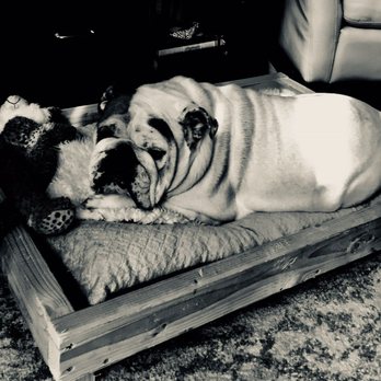 Precious Pets Memorial Service - Pet Cremation Services Near Me - Ventura, California Precious Pets Memorial Service - Pet Cremation Services Near Me - Ventura, California