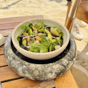SUR Beach House - Black Aguachile. - Hotels Near Me - Cabo San Lucas, BCS SUR Beach House - Black Aguachile. - Hotels Near Me - Cabo San Lucas, BCS