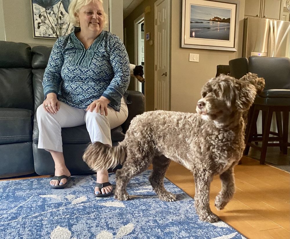 COVENTRY TAI CHI Updated May 2024 82 Old North Rd, Coventry, Rhode